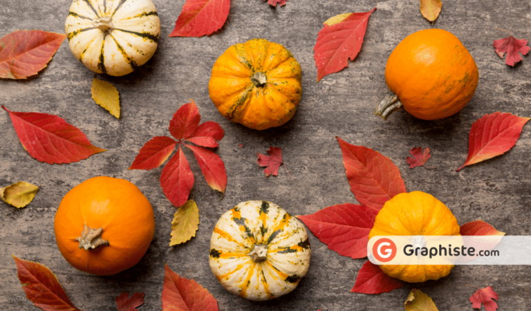 Les meilleures ressources graphiques sur l’automne
