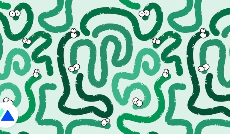 L’histoire du Morris Worm, la première cyberattaque sur Internet